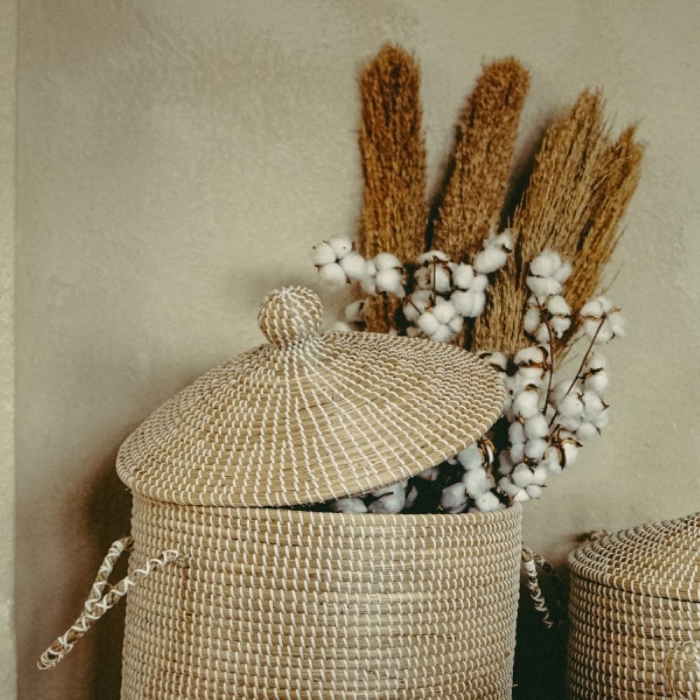 Pampasgras natur ca. 110–125 cm – Dekostaude Pampasgras natur ca. 110–125 cm – Dekostaude