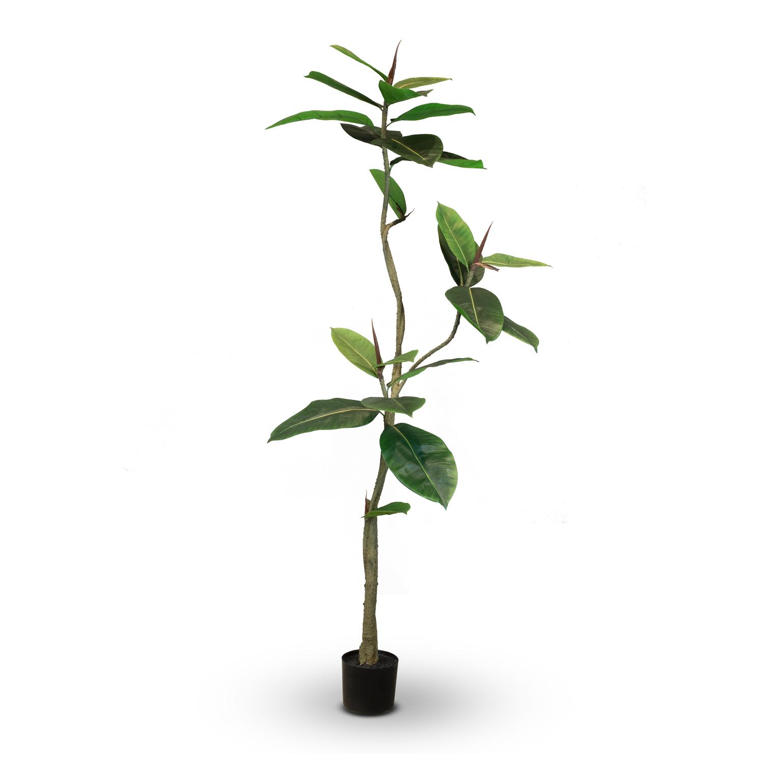 Ficus Elastica - künstlicher Gummibaum 150 cm Ficus Elastica - künstlicher Gummibaum 150 cm