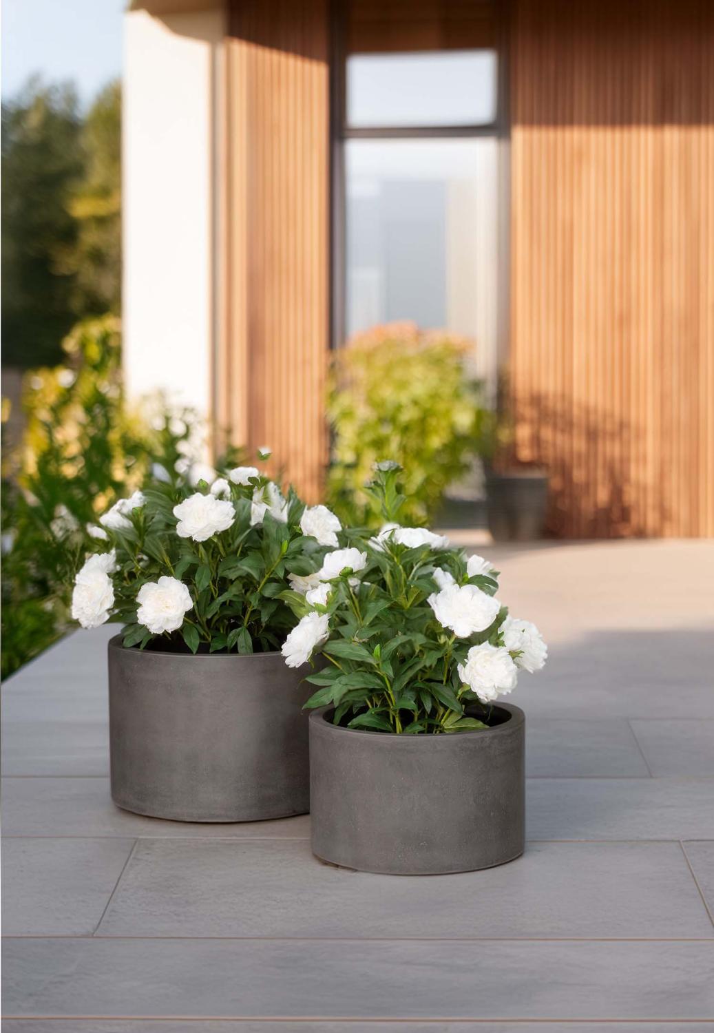 Roccastone mattes Bodengefäß Classic aus Beton Ø 45 cm, Höhe 38 cm natur beton