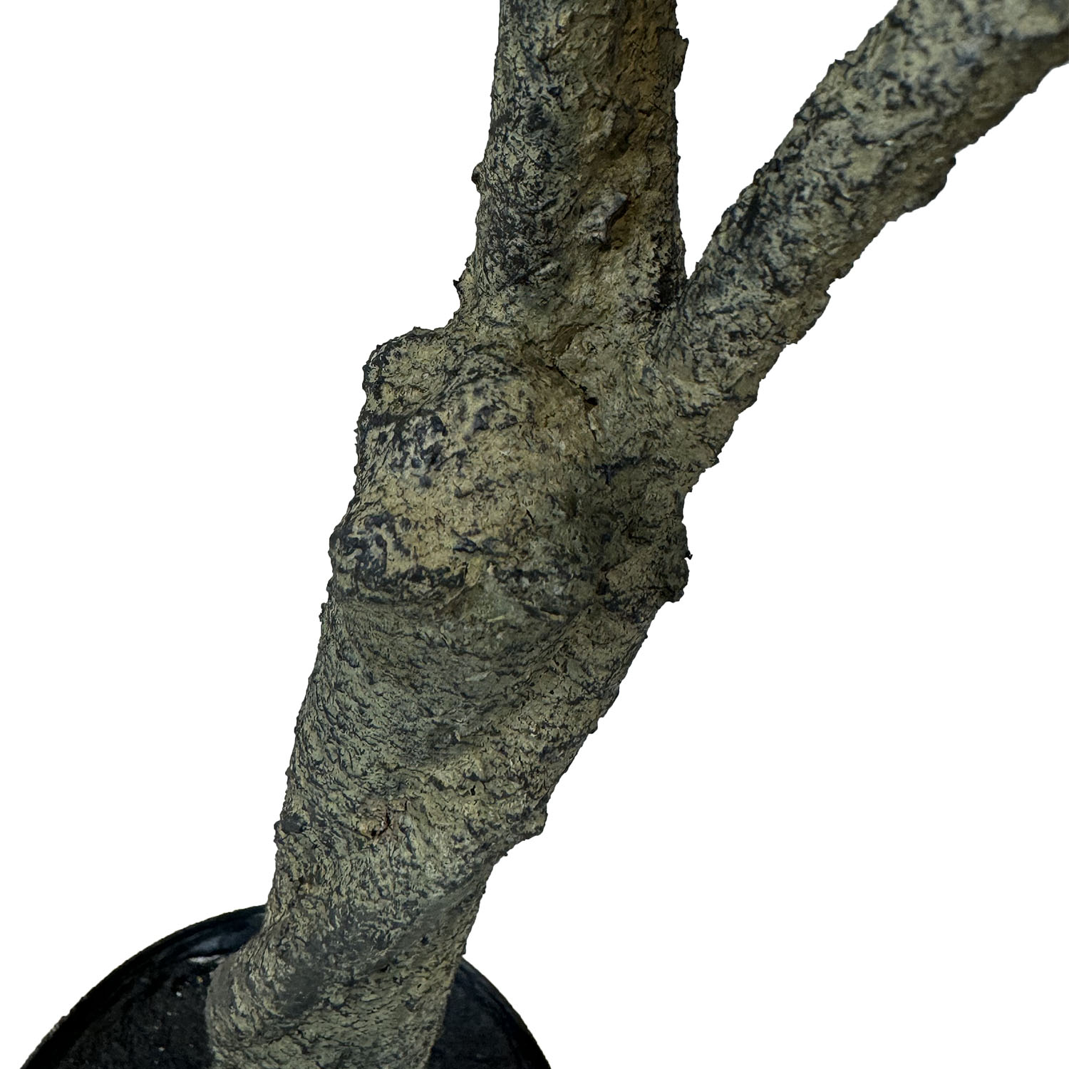 Kunstpflanze mit Topf Ficus Elastica 90 cm mit Royal Globe Gefäß Kunstpflanze mit Topf Ficus Elastica 90 cm mit Solco Gefäß Anthrazit