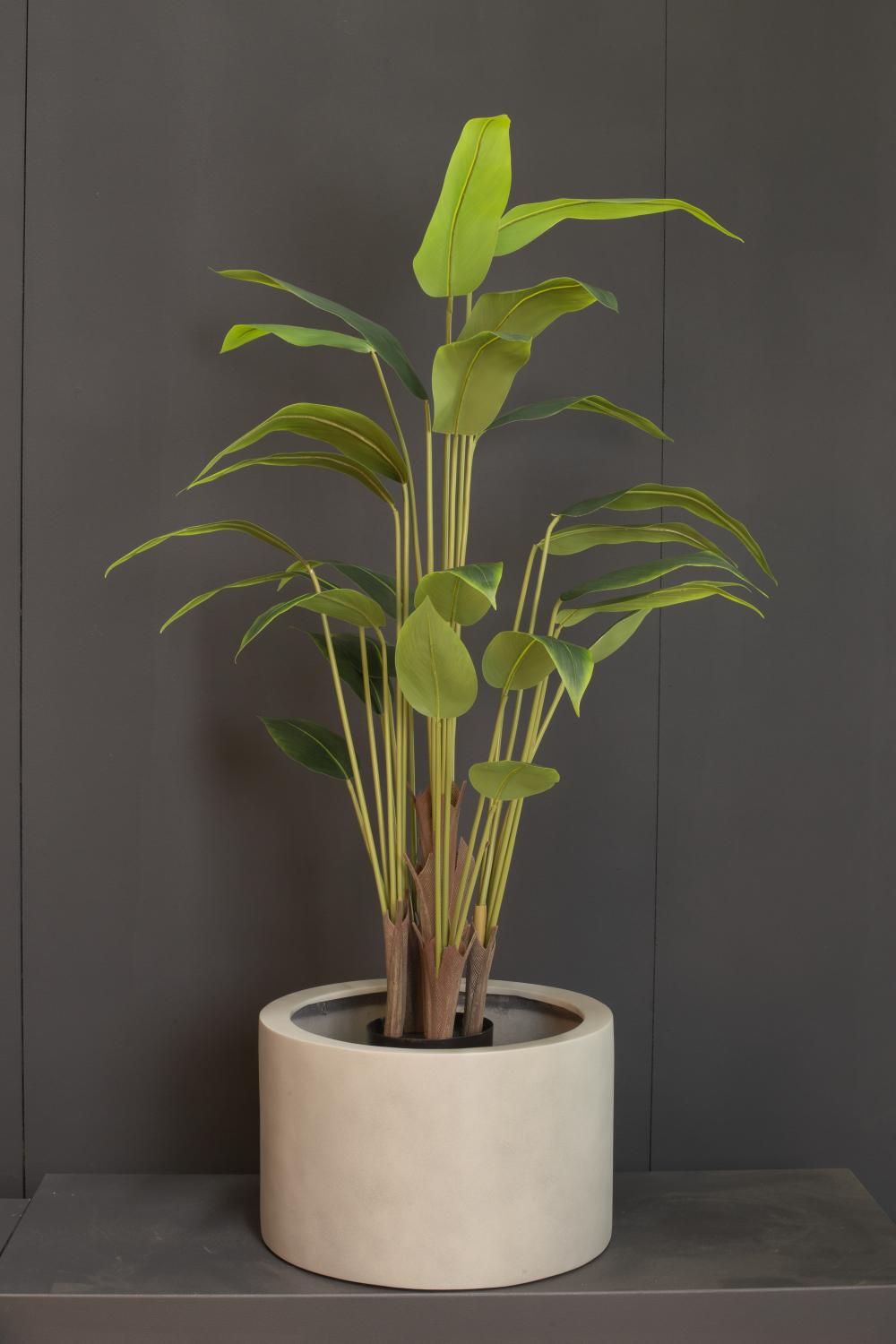 Hochwertige Bananenpflanze - Musa künstlich Hochwertige Bananenpflanze - Musa künstlich