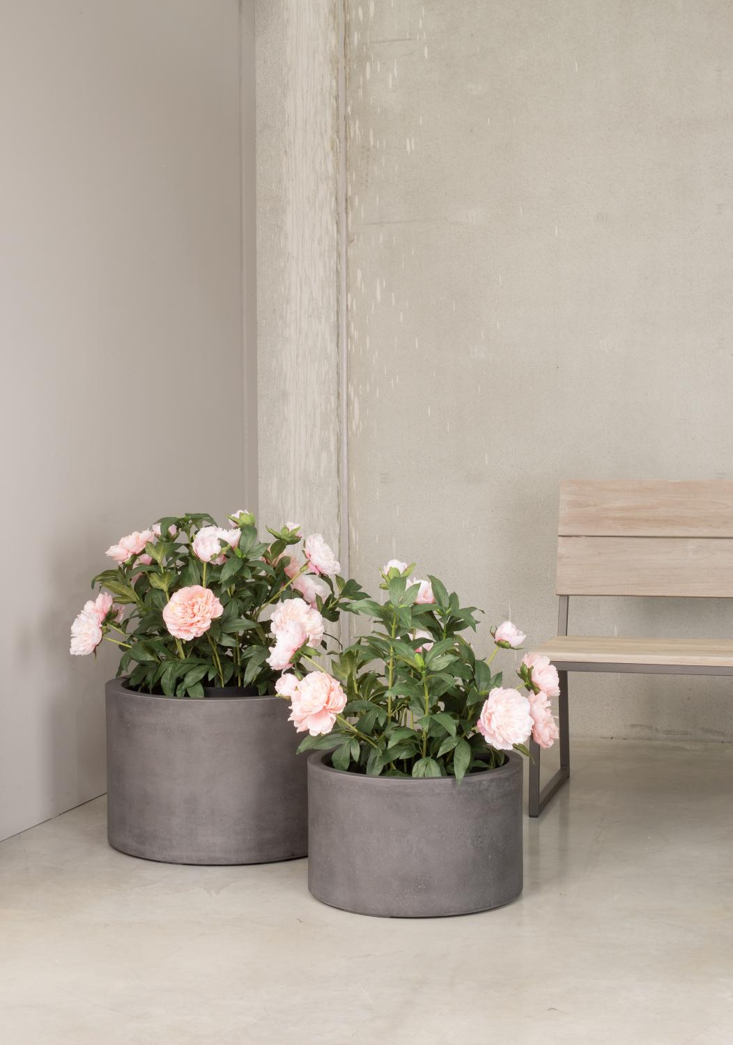Künstliche Paeonia - Pfingstrosen Höhe 76 cm Künstliche Paeonia - Pfingstrosen Höhe 76 cm