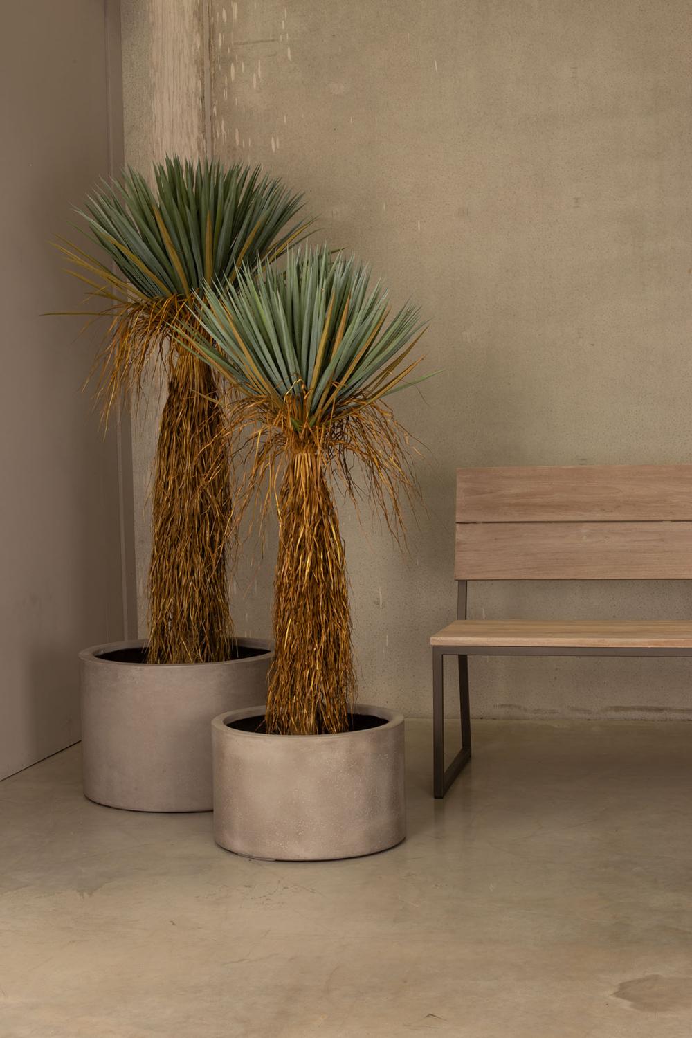 Yucca - Palmlilie Kunstpflanze 178 cm Yucca - Palmlilie Kunstpflanze 178 cm