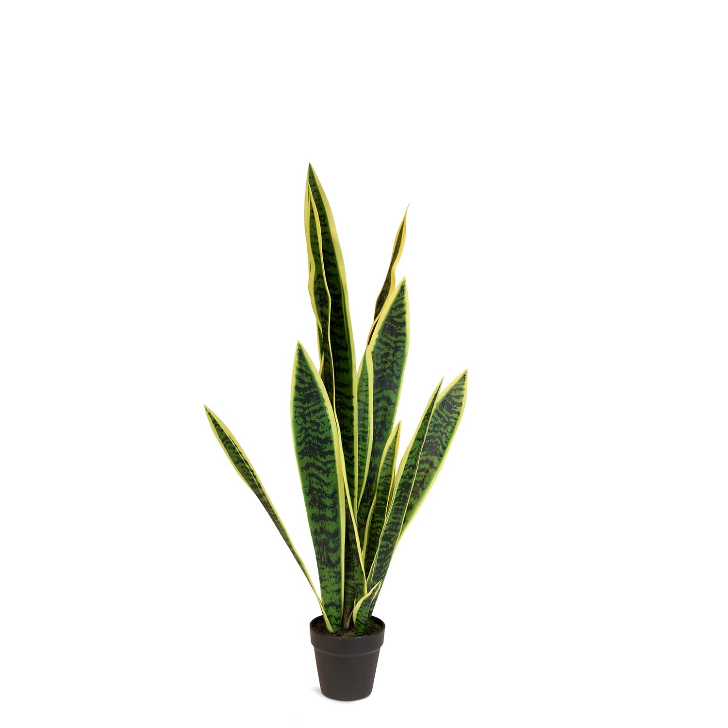 Bogenhanf - Sansevieria trifasciata Kunstpflanze Bogenhanf - Sansevieria trifasciata Kunstpflanze