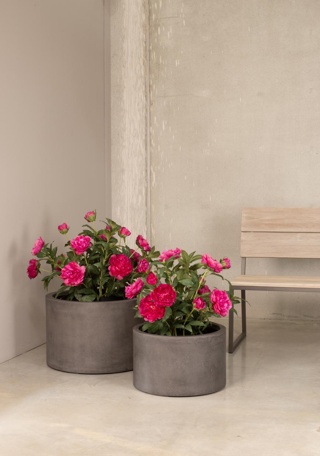 Pfingstrosen - Paeonia Kunstpflanze