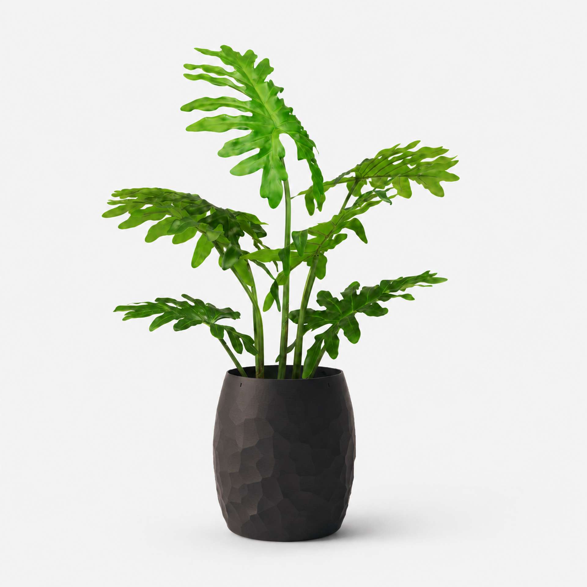Kunstpflanze mit Topf Baum-Philodendron 85cm mit Organic 3D Topf Midnight Black