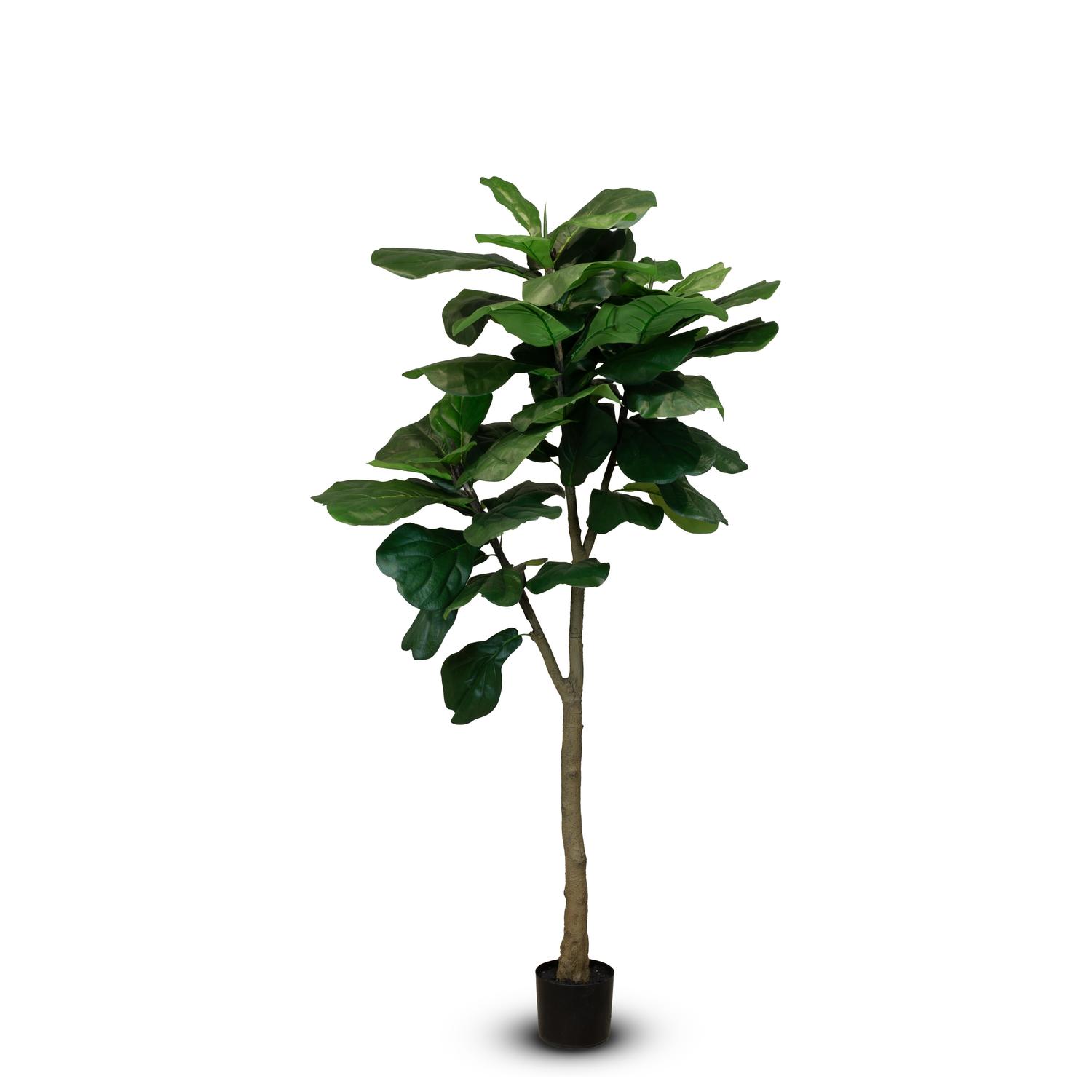 Hochwertige Geigenfeige Ficus Lyrata Kunstpflanze 180 cm Hochwertige Geigenfeige Ficus Lyrata Kunstpflanze 180 cm