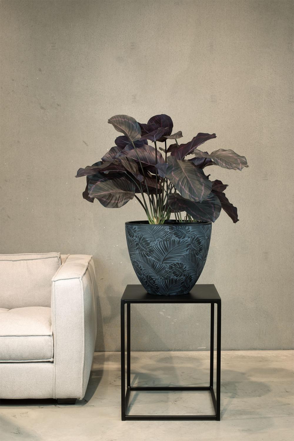 Hochwertige Calathea - Korbmarante Kunstpflanze