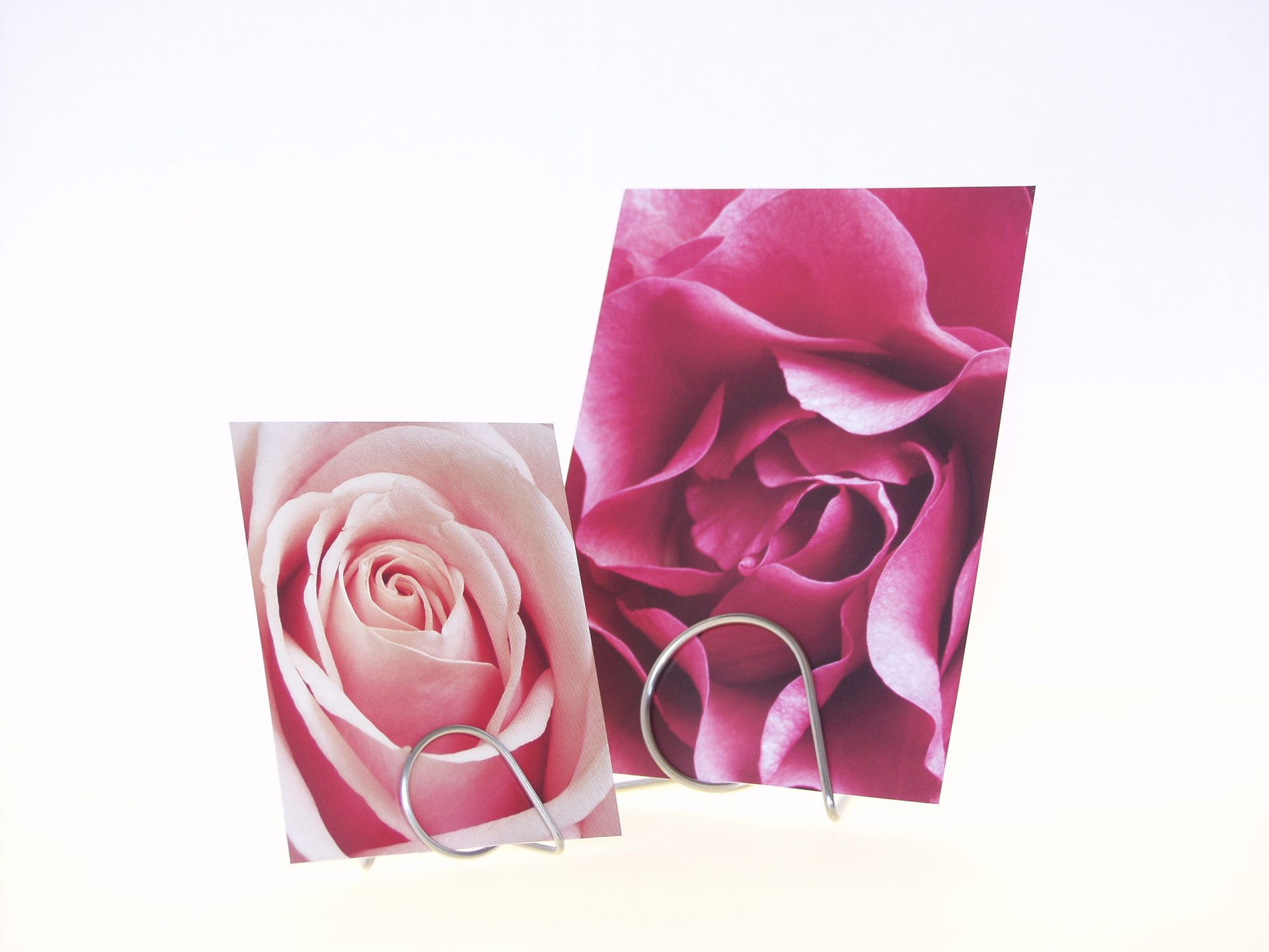 Spirelli Bildhalter Spirelli Bildhalter