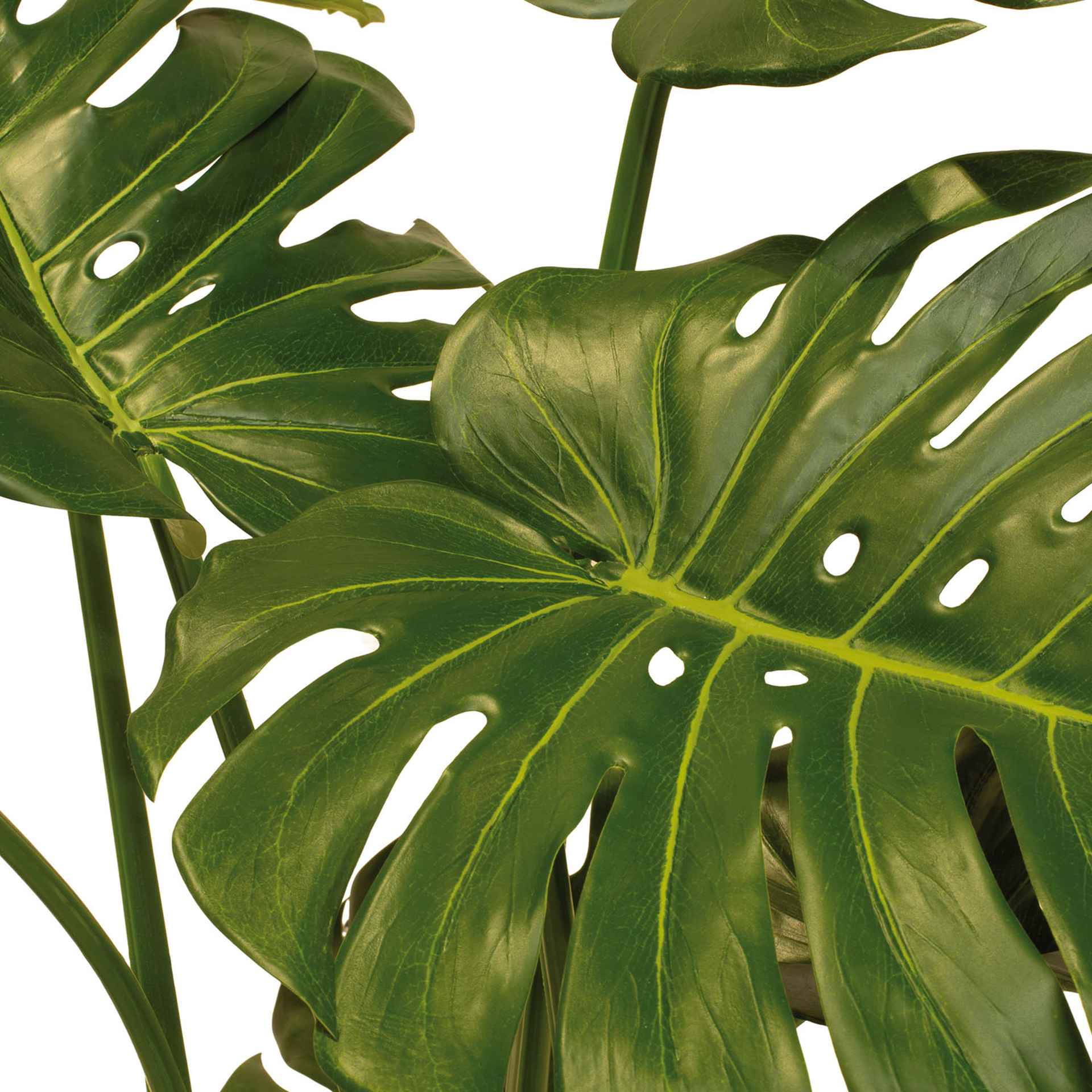 Kunstpflanze mit Topf Monstera Deliciosa mit Linea Gefäß 90 cm Weiß Kunstpflanze mit Topf Monstera mit Topf Solco 120 cm Anthrazit