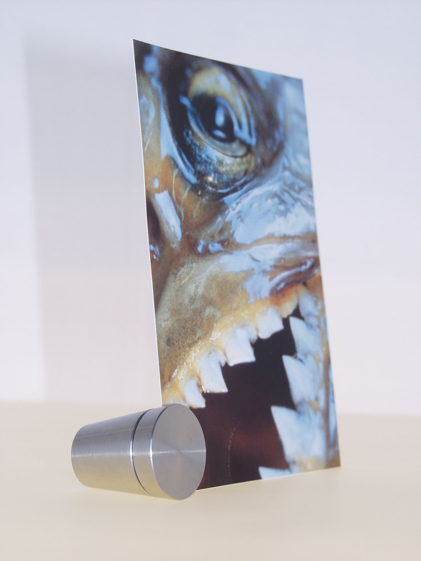 Pura Bildhalter Pura Bildhalter