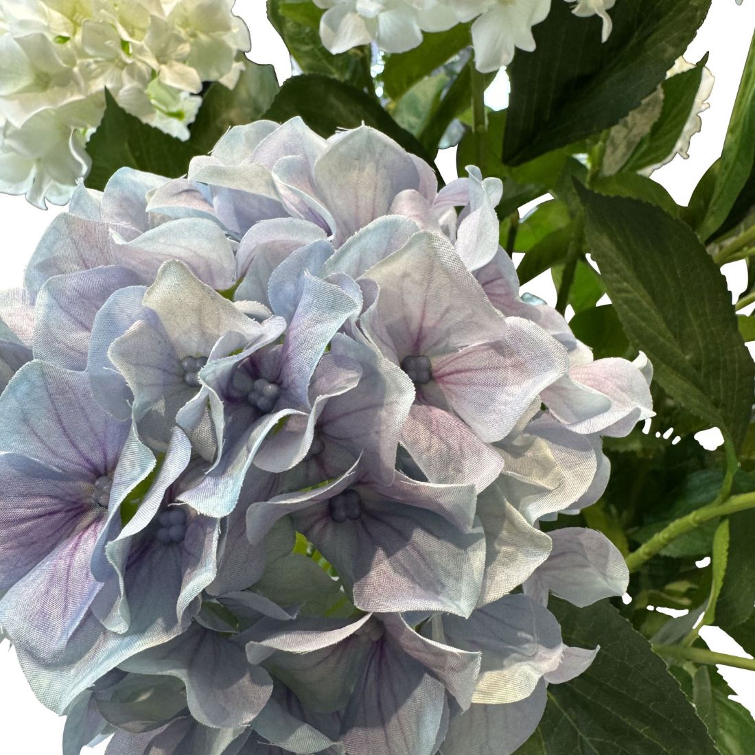 Hortensie - Hydrangea Kunstpflanze, 10 Blüten, Höhe 73 cm, weiß-blau Hortensie - Hydrangea Kunstpflanze, 10 Blüten, Höhe 73 cm, weiß-blau