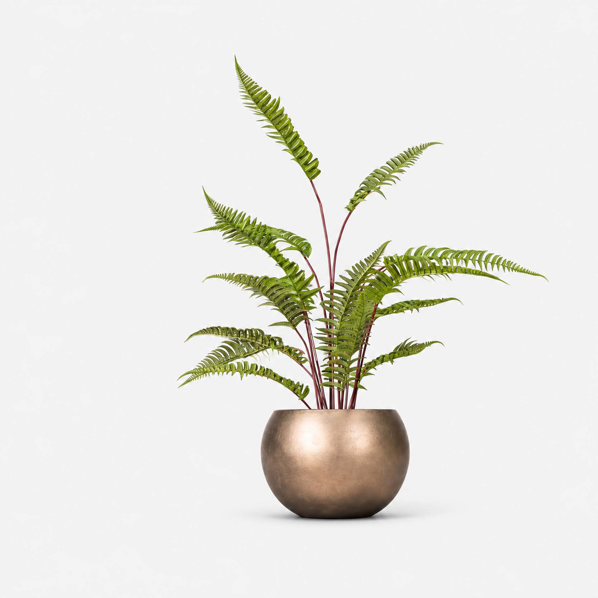 Kunstpflanze mit Topf Schwertfarn 90 cm Royal Globe Topf Kunstpflanze mit Topf Schwertfarn 90 cm Royal Globe Topf