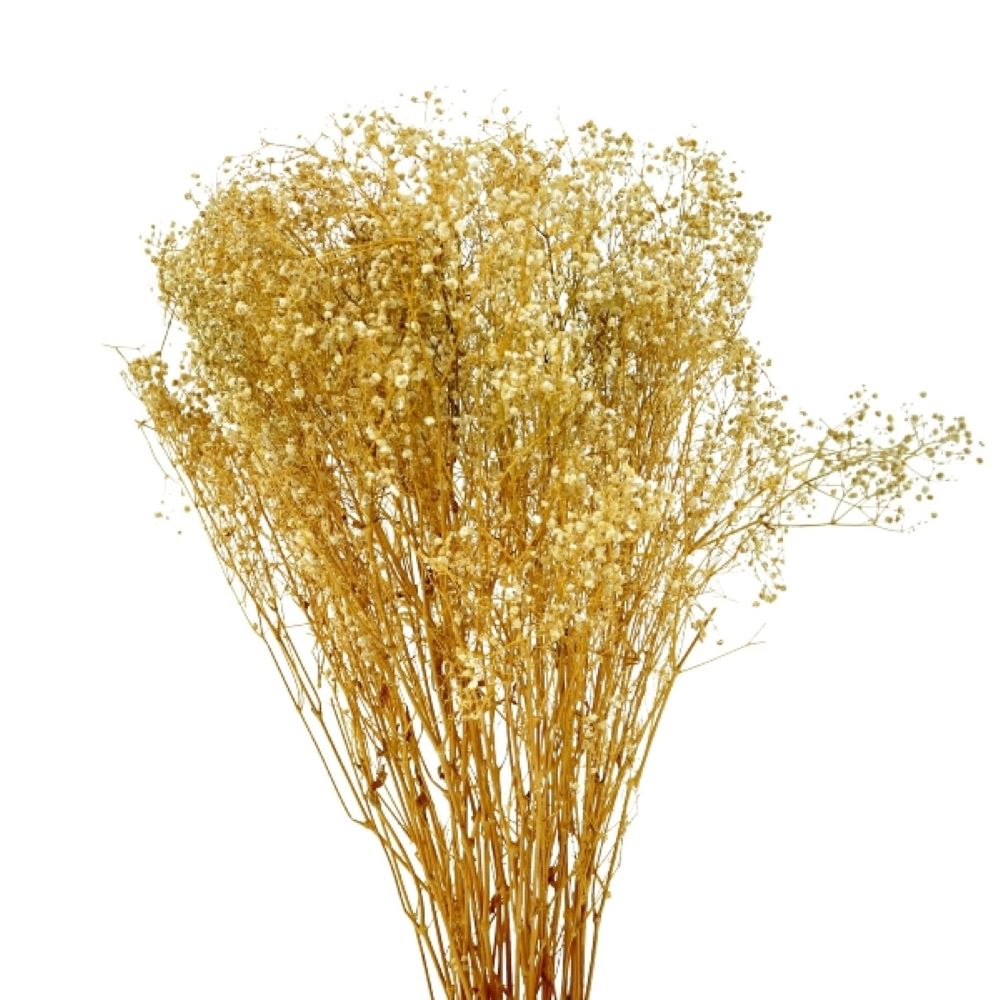 Schleierkraut getrocknet 120g Naturdeko Bündel 70–80 cm Schleierkraut getrocknet 120g Naturdeko Bündel 70–80 cm