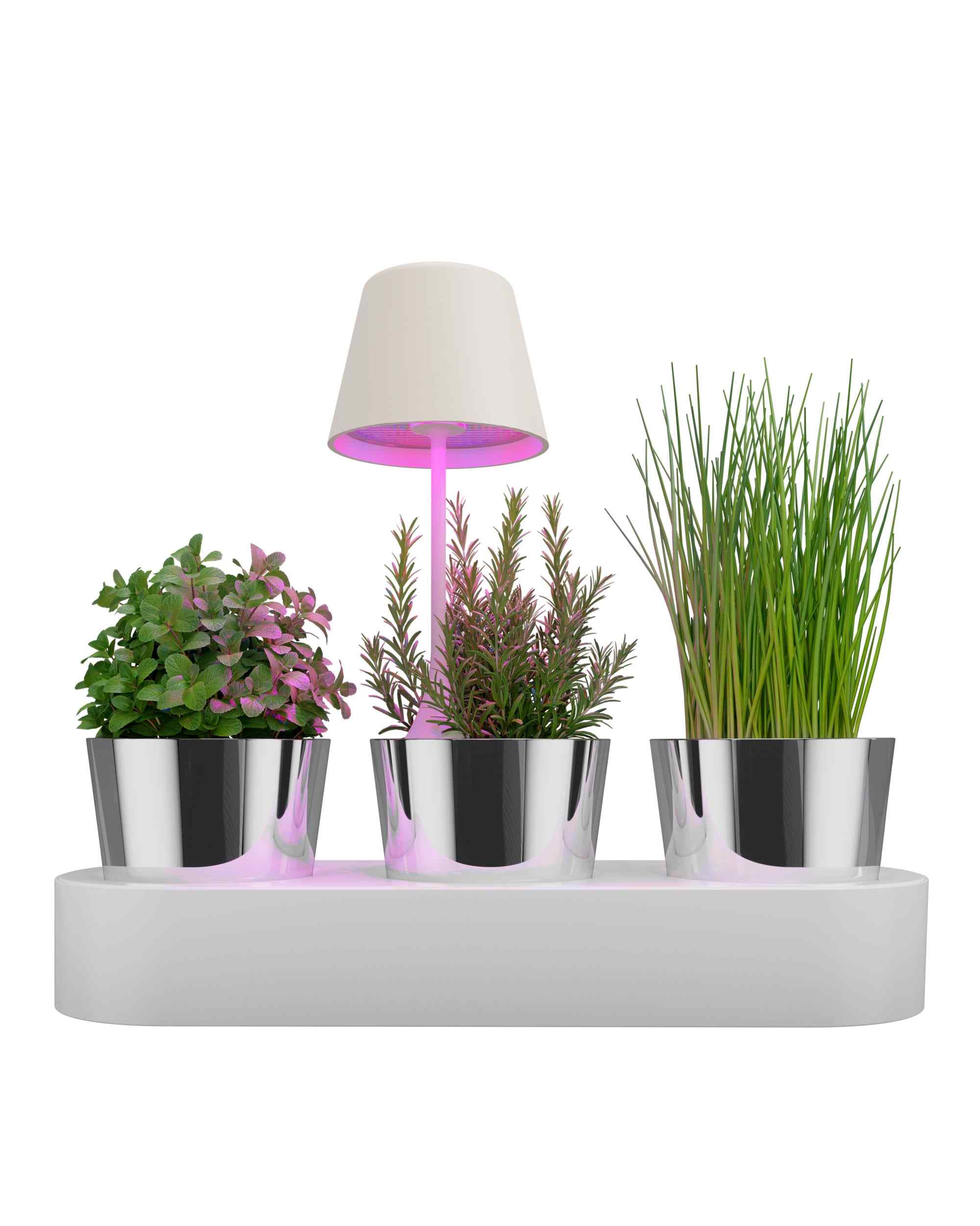 PEEKY Akku-Tischleute - Plant-Growing-Light weiß