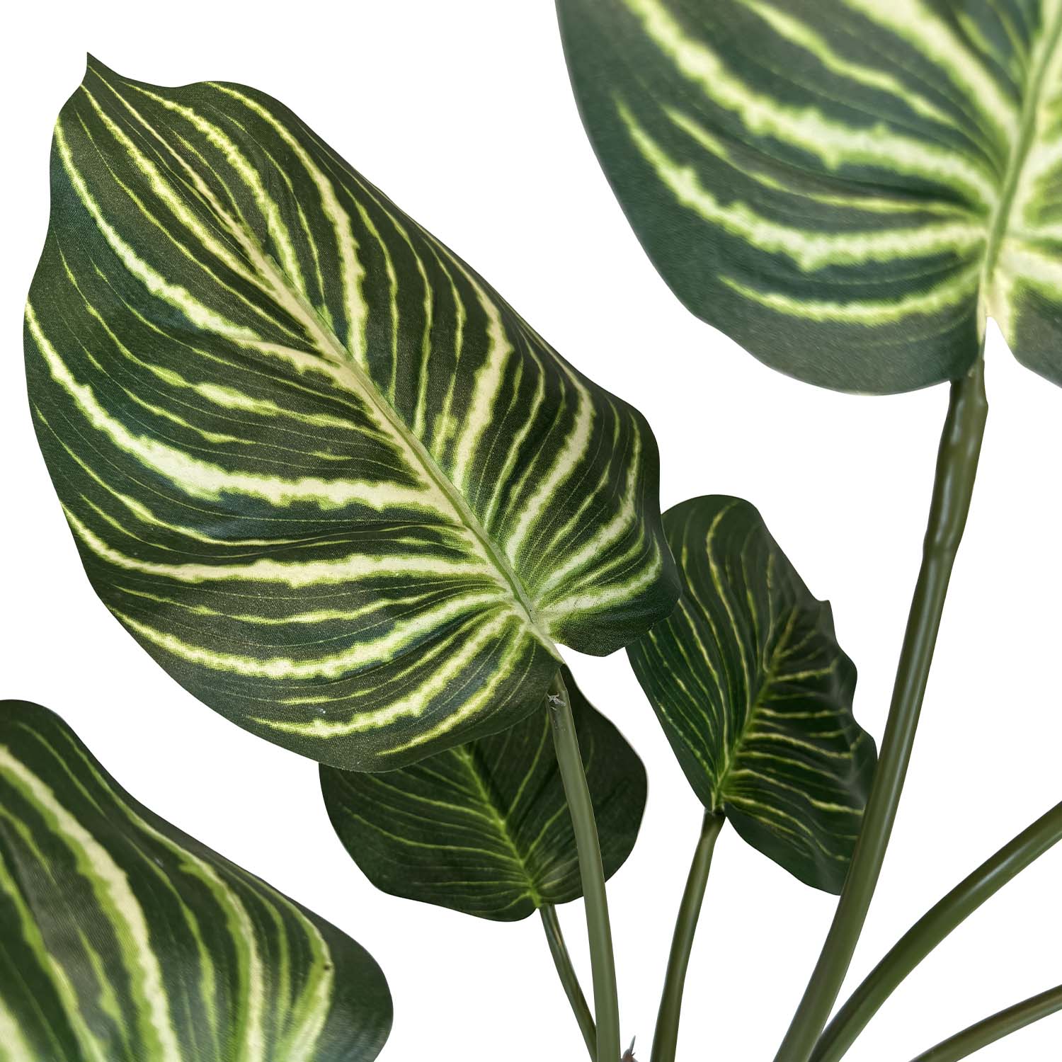 Calathea (Pfauen-Korbmarante) Kunstpflanze UV-Stabil 65 cm Calathea (Pfauen-Korbmarante) Kunstpflanze UV-Stabil grün 65 cm