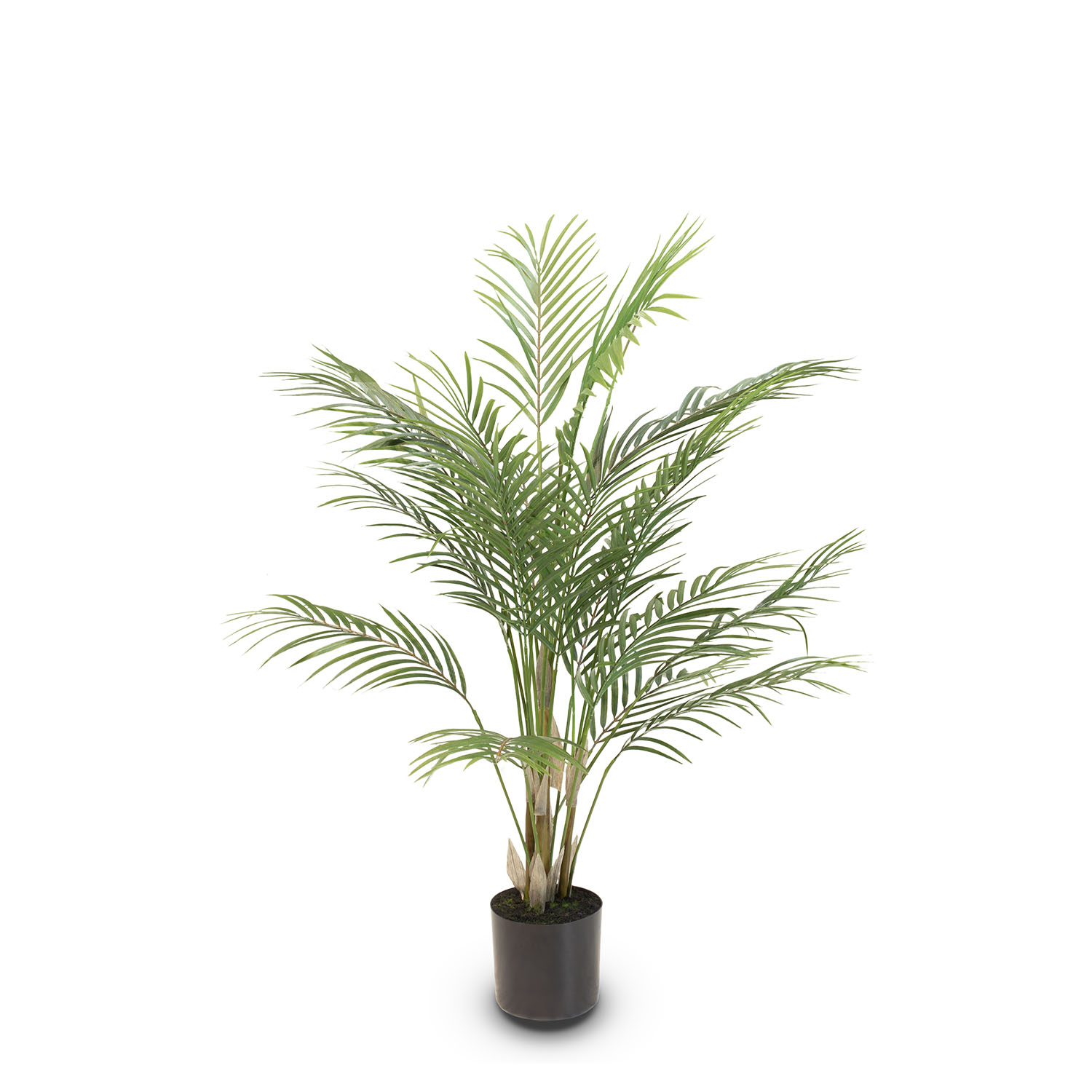 Künstliche Goldfruchtpalme - Areca Palm 90 cm Künstliche Goldfruchtpalme - Areca Palm 90 cm