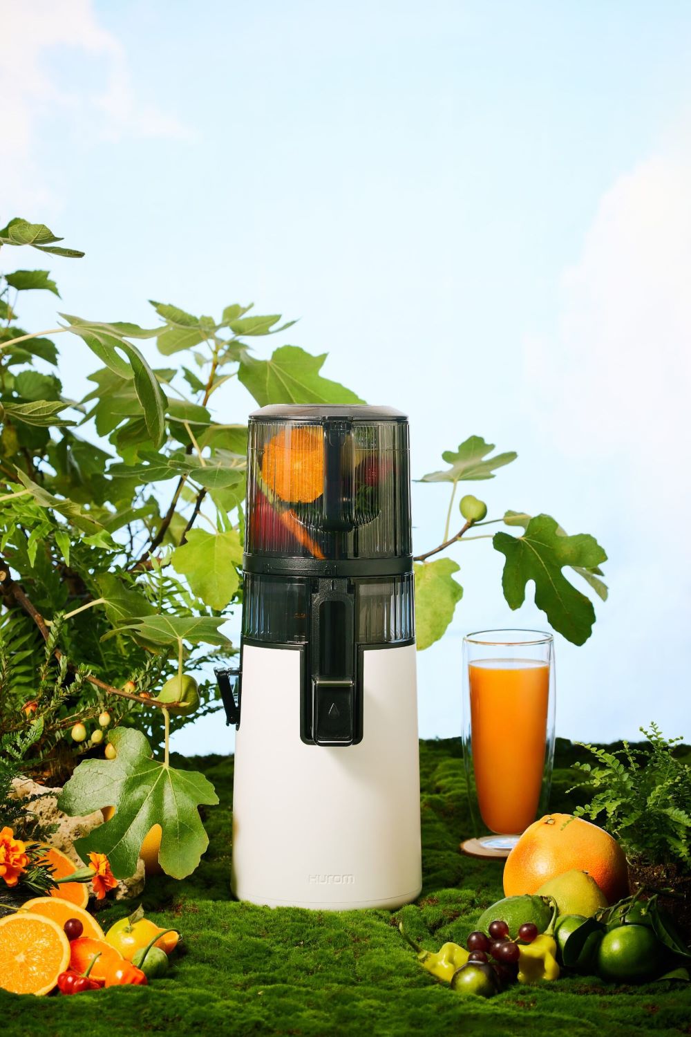 Entsafter - Slow Juicer H70-ST mit feinmaschigem Sieb