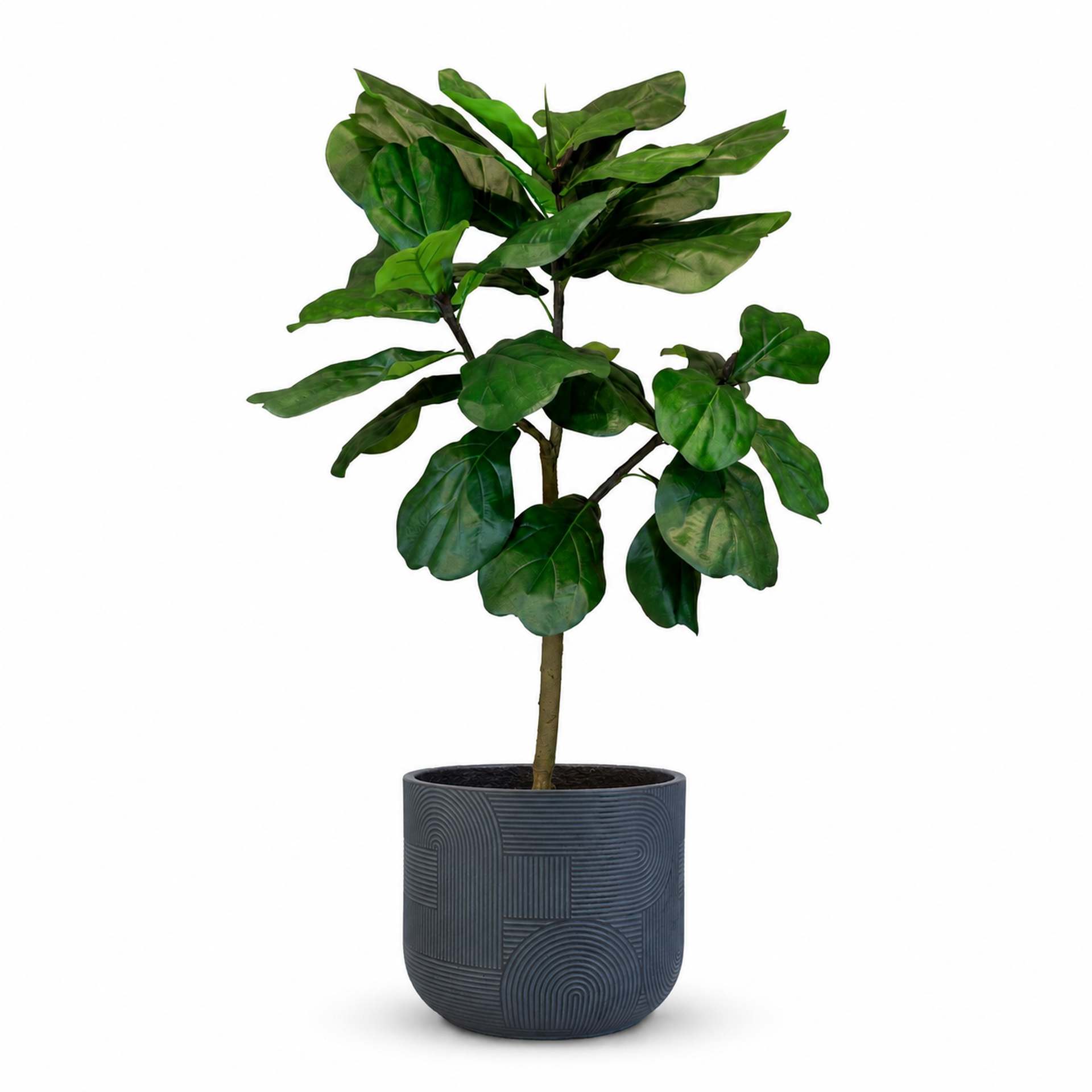 Kunstpflanze mit Topf Ficus Lyrata mit Solco Topf 120cm Anthrazit