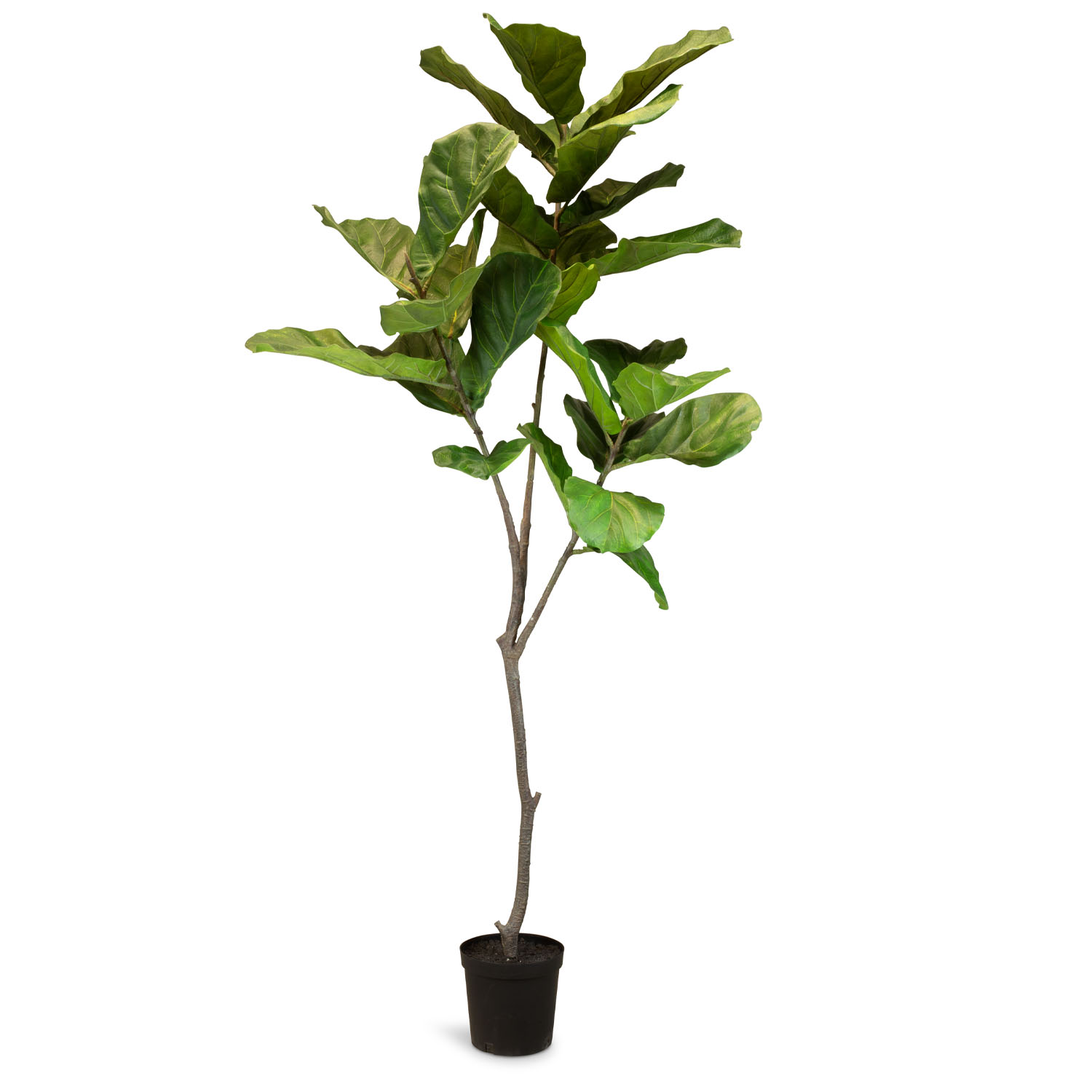 Künstlicher Geigenfeigenbaum - Ficus Lyrata 193 cm Künstlicher Geigenfeigenbaum - Ficus Lyrata 193 cm