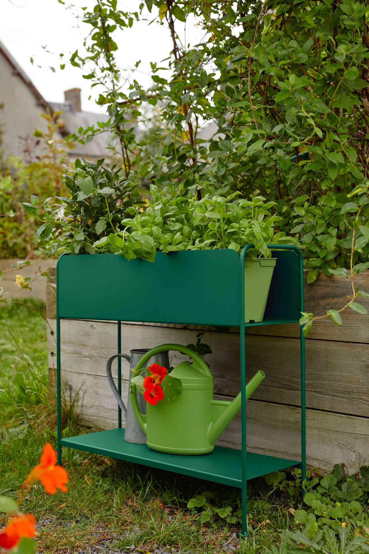 Picolino Pflanzen-Konsole Stahl Picolino Pflanzen-Konsole Stahl Maya-Blau