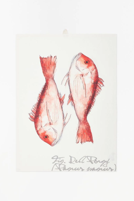 Geschirrtuch Dorade Geschirrtuch Dorade