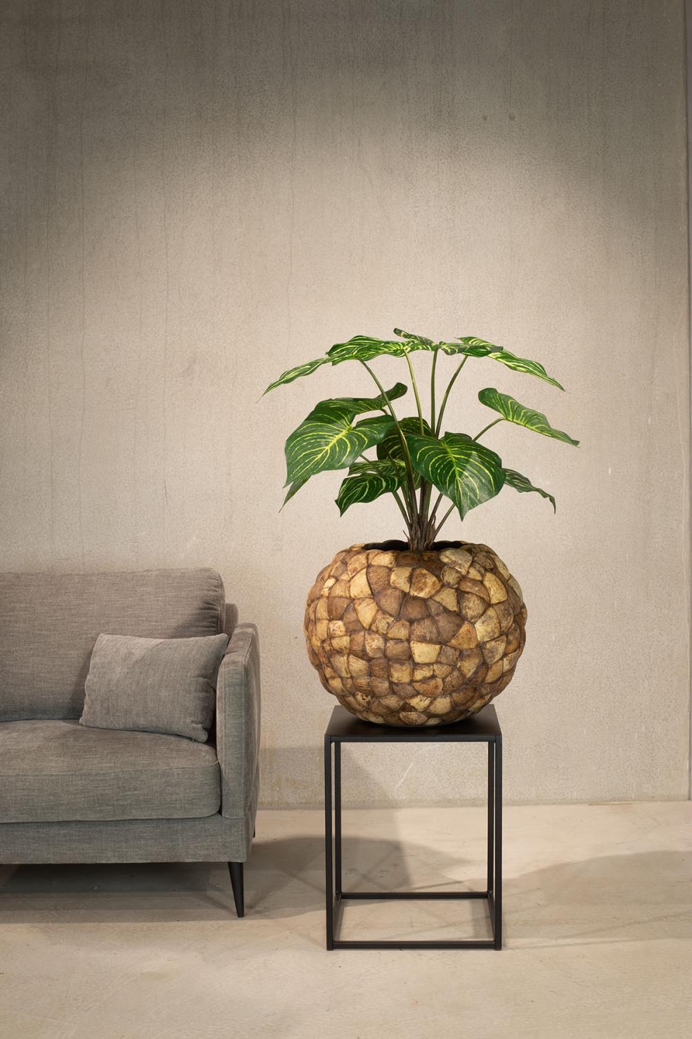 Coconut braunes Pflanzgefäß Ø 60 cm, Höhe 65 cm Coconut braunes Pflanzgefäß 76 x 31 cm, Höhe 26,5 cm