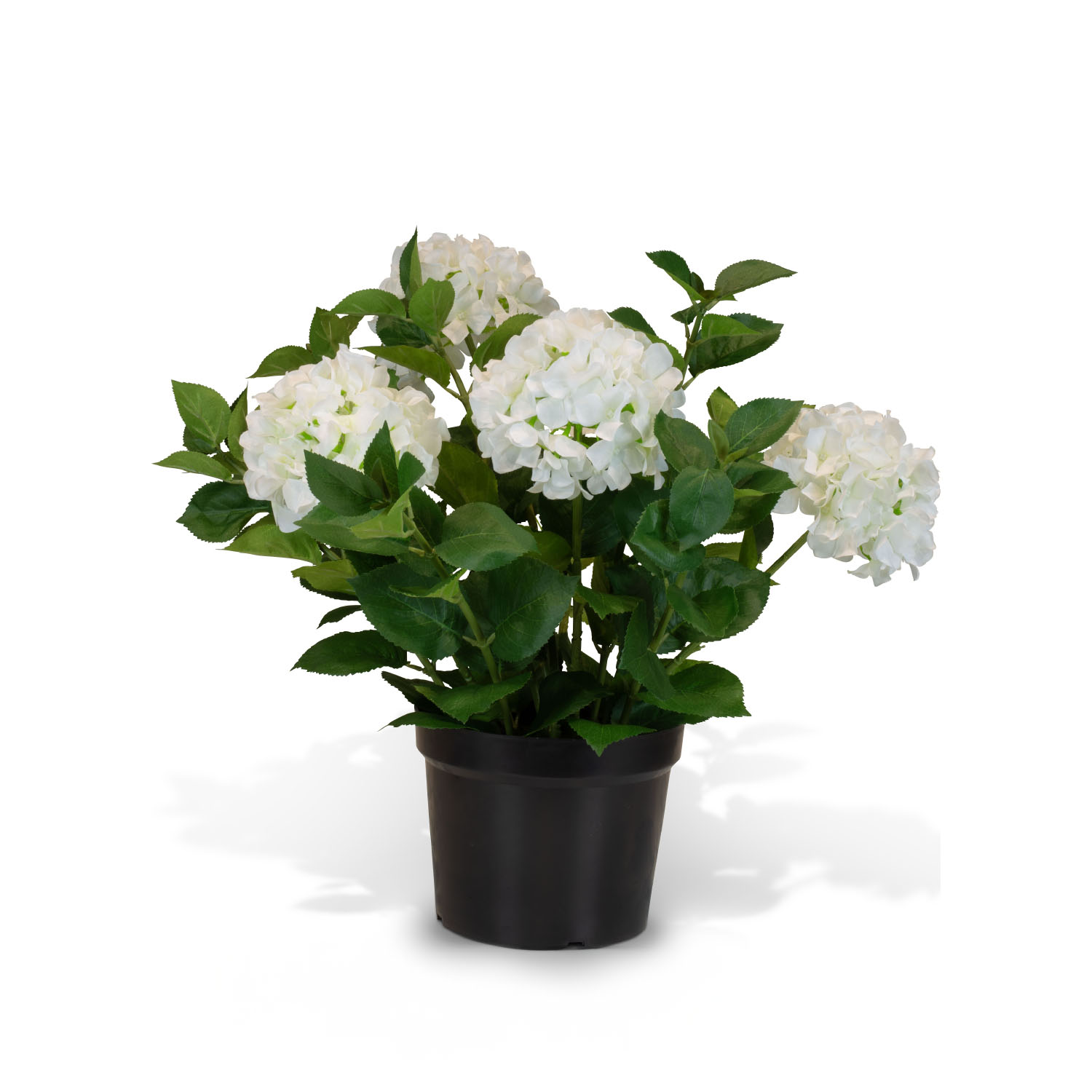 Hortensie (Hydrangea) Kunstpflanze mit 5 Blüten