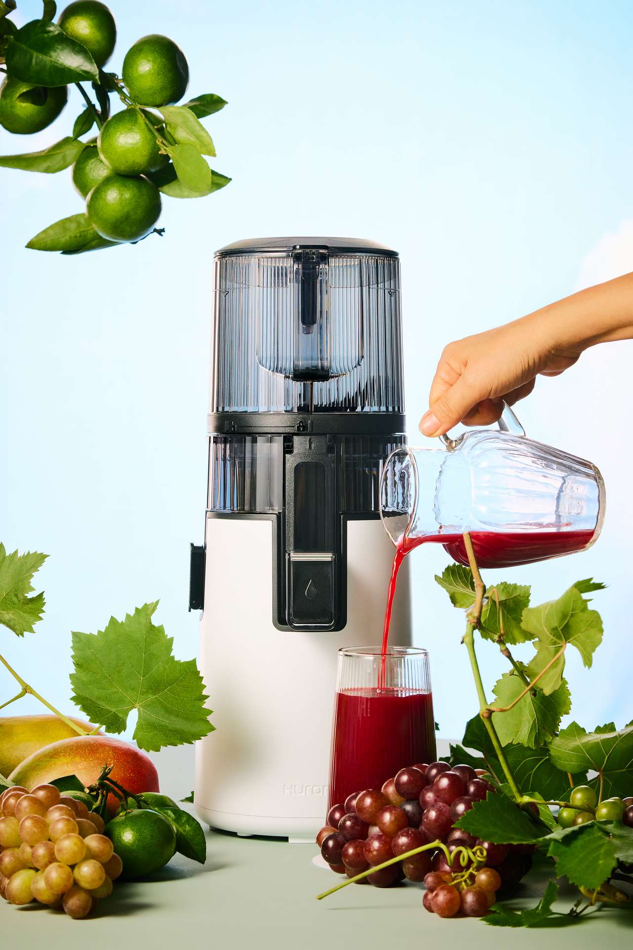 Entsafter H70-FT - Slow Juicer mit Multi-Schnecke Titangrau