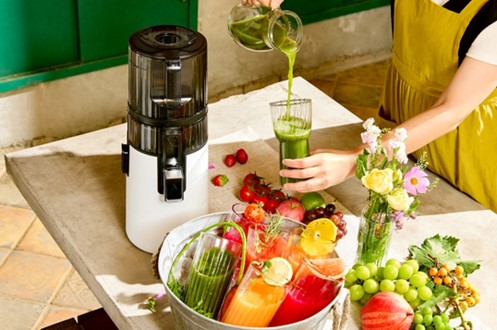 Entsafter - Slow Juicer H70-ST mit feinmaschigem Sieb Entsafter - Slow Juicer H70-ST mit feinmaschigem Sieb