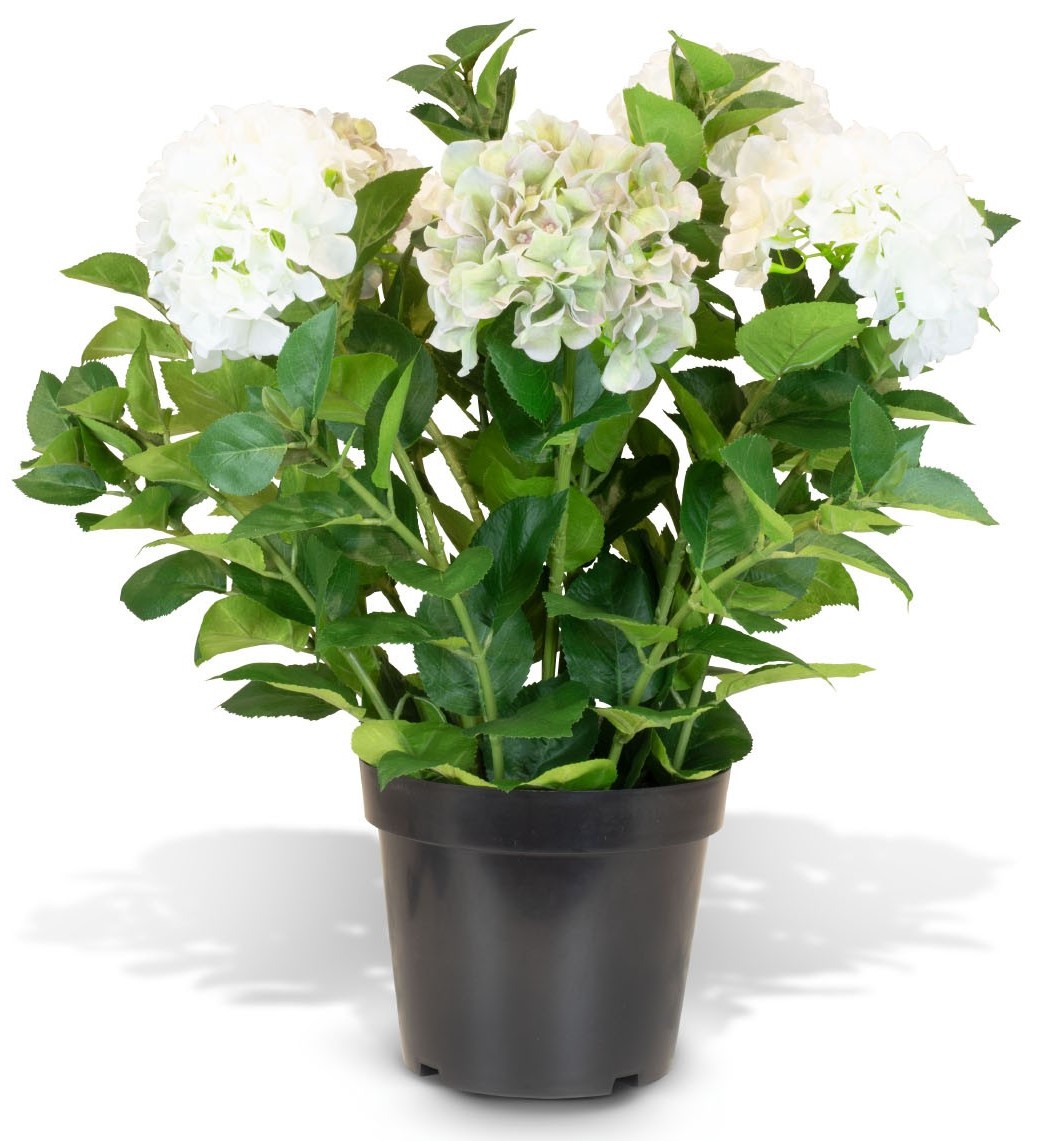 Hortensie - Hydrangea Kunstpflanze, 7 Blüten, Höhe 73 cm, weiß-grün