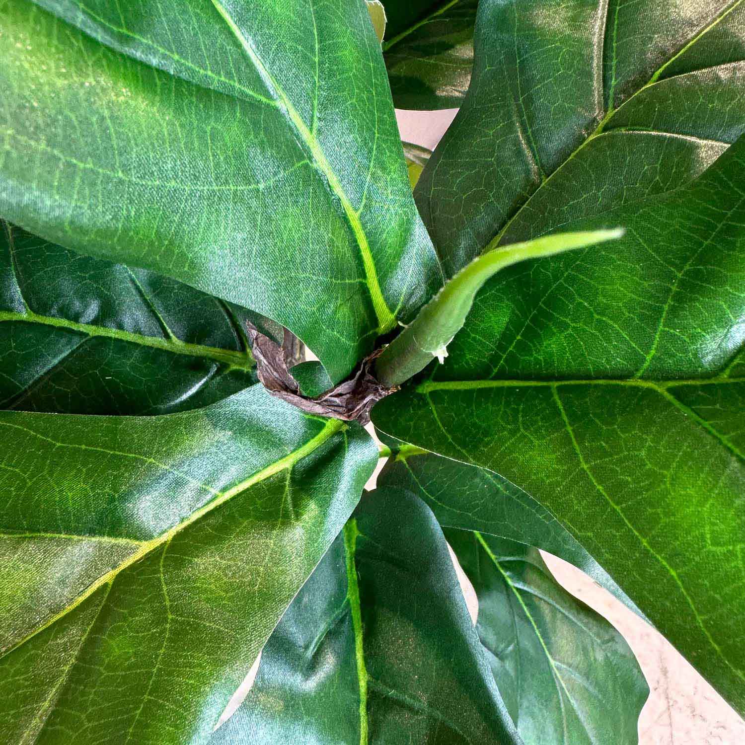 Kunstpflanze mit Topf Ficus Lyrata mit Roccastone Classic 120cm Anthrazit Kunstpflanze mit Topf Ficus Lyrata mit Solco Topf 180cm Weiß
