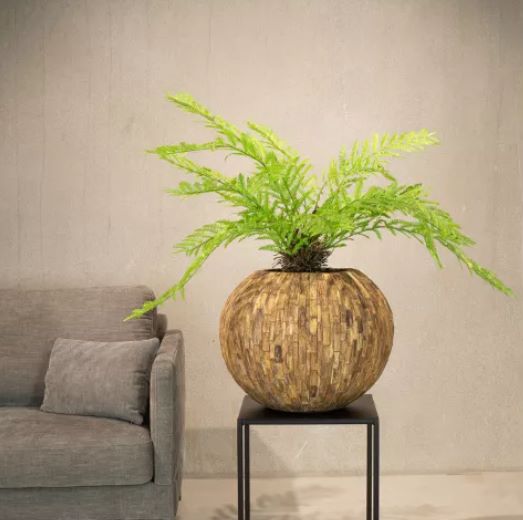 Woody Pflanzgefäß in Cemani-Holz Woody Pflanzgefäß in Cemani-Holz