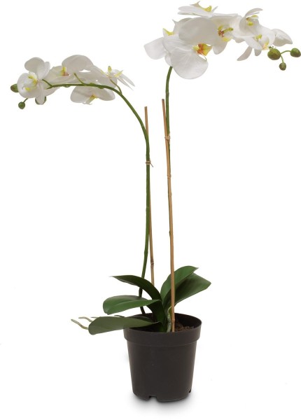 Schmetterlingsorchidee Phalaenopsis Kunstpflanze 71 cm