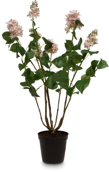 Flieder (Syringa) Kunstpflanze Höhe 79 cm