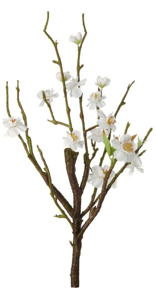 Kirschblütenstrauch weiß L. 40,5 cm